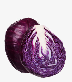 紫甘蓝菜白菜素材