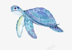 一只口红卡通手绘紫色海龟高清图片
