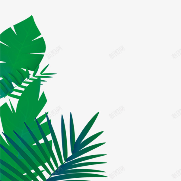 简易手绘热带雨林插图边框png免抠素材_88icon https://88icon.com 手绘 树叶 植物 水墨画 清新 热带雨林 自然 边框