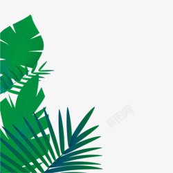 简易手绘热带雨林插图边框素材