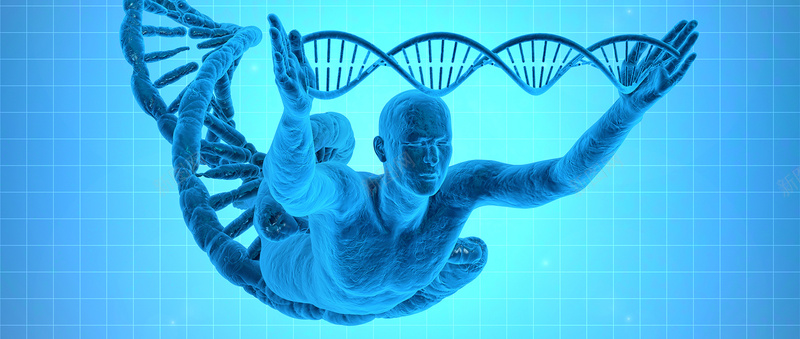 人体DNA遗传背景banner背景
