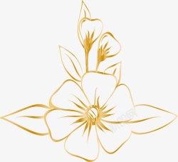 金色五瓣花创意鲜花花朵线条图高清图片