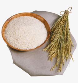 美食大米小麦素材