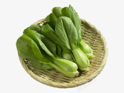 绿色菜叶一篮上海青高清图片