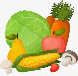水果蔬菜健康食品广告耶菜胡萝卜玉米梨菇类矢量图高清图片