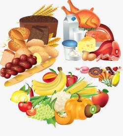 人体所需的各种均衡的膳食原料素材