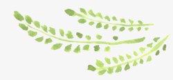 环境保护画册手绘植物柳条高清图片