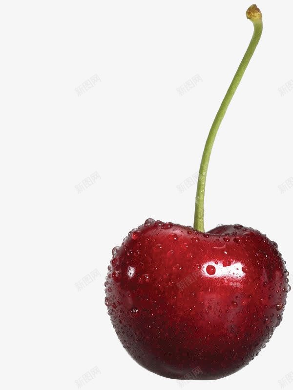 新鲜红色可口樱桃png免抠素材_88icon https://88icon.com 可口 吃樱桃 批发樱桃 摘樱桃 新鲜 新鲜樱桃 樱桃 樱桃专卖 樱桃园 樱桃基地 樱桃批发 樱桃果园 樱桃树 樱桃水果 樱桃熟了 樱桃特写 樱桃画册 樱桃素材 水果樱桃 种植樱桃 红色 美味樱桃