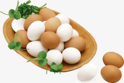 蛋类蛋鸡蛋素材