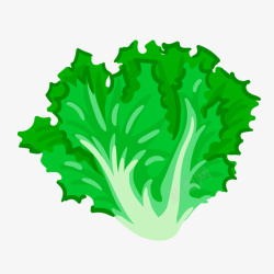 绿色菜叶卡通手绘绿色的生菜叶矢量图高清图片