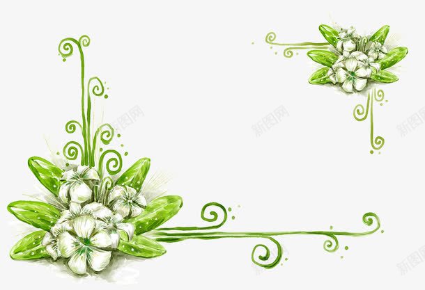 手绘白色花朵png免抠素材_88icon https://88icon.com 绿色边框 花朵相框 花朵背景