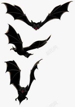 万圣节展翅飞翔的蝙蝠素材