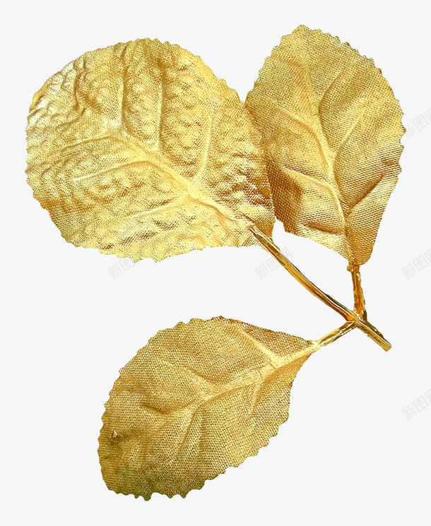 金色漂亮枝叶png免抠素材_88icon https://88icon.com 叶子 枝叶 树叶 树枝 漂亮枝叶 金色枝叶