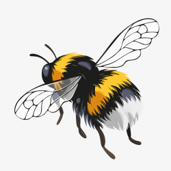 春天蜜蜂水彩手绘蜜蜂昆虫矢量图高清图片