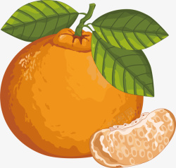 水彩橙色橘子矢量图素材