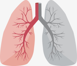 肺部受损扁平简约受伤的肺高清图片