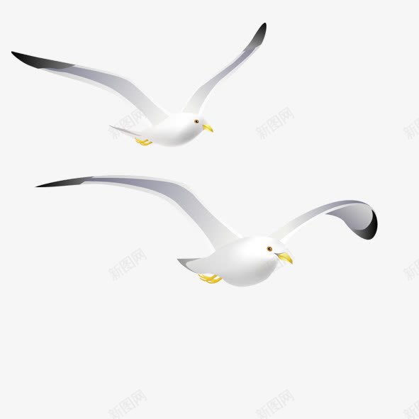 白色海鸥psd免抠素材_88icon https://88icon.com 海鸥 白色 翅膀
