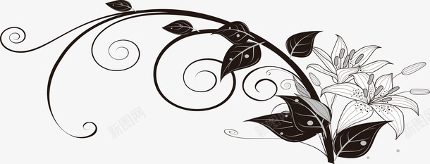 百合花环百合花纹png免抠素材_88icon https://88icon.com 一束百合花 卡通百合花 水墨百合花 白色百合花 百合花手绘 百合花朵 百合花矢量图 百合花花瓣 百合花苞 百合花藤 百合花边