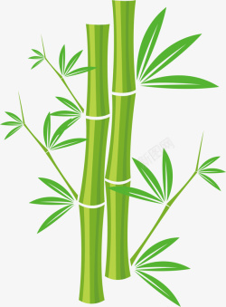 绿色春季清新竹子素材