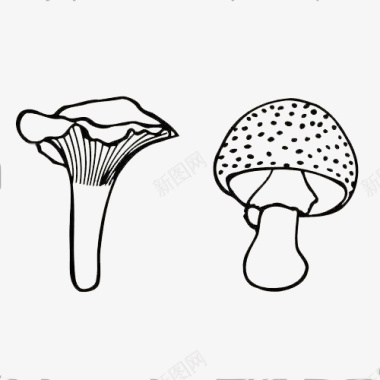 青花瓷风味木耳蘑菇手绘图标图标
