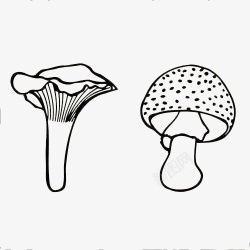 食物线条素材图木耳蘑菇手绘图标高清图片