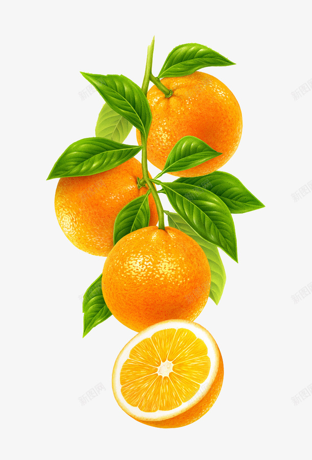 手绘橙子png免抠素材_88icon https://88icon.com 手绘 橙子树枝 水果 黄色