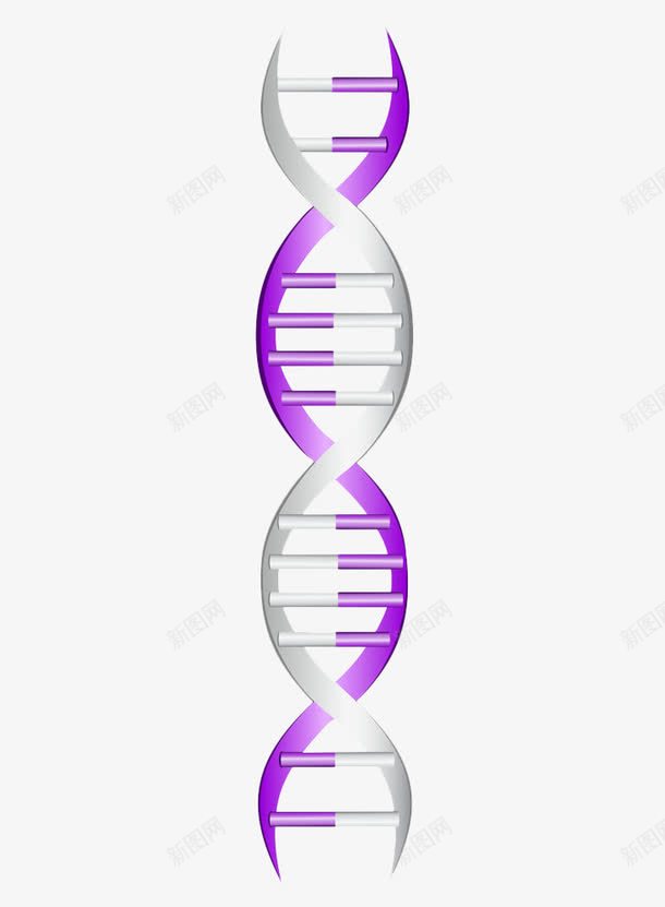 基因检测DNApng免抠素材_88icon https://88icon.com DNA DNA双螺旋结构图片 基因 基因检测 生物科学 螺旋结构