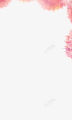 粉色康乃馨装饰边框素材