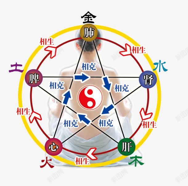 健康五行人体分布png免抠素材_88icon https://88icon.com 五行 亚健康 保健 免扣PNG素材 八卦 女人背坐 形状 按摩 用于养生 相生相克