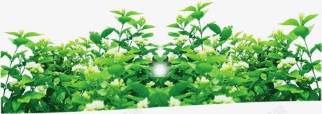 绿色树叶养生宣传单png免抠素材_88icon https://88icon.com 养生 宣传单 树叶 绿色