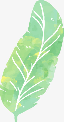 热带植物棕榈叶水彩画素材