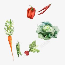 水彩红辣椒水彩健康绿色蔬菜高清图片