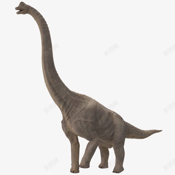 长脖子四腿恐龙png免抠素材_88icon https://88icon.com 3D恐龙 动物 恐龙 温和恐龙 肉食动物 长脖子四腿恐龙