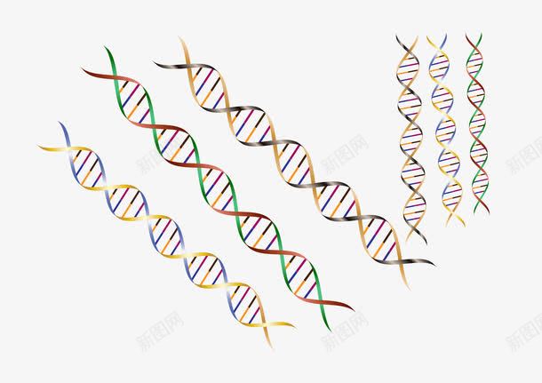 彩色螺旋线矢量图ai免抠素材_88icon https://88icon.com DNA双螺旋结构图片 DNA螺旋 DNA链 基因 彩色 生物 矢量图 研究 科学 螺旋 螺旋线 遗传