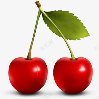 新鲜的樱桃Cherryicons图标图标