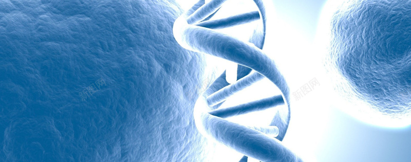DNA基因遗传背景bannerjpg设计背景_88icon https://88icon.com DNA 医学 医疗 商务 基因 海报banner 科学 科幻 科技 细胞 遗传 酷炫