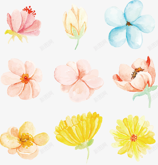 水彩小清新花朵矢量图ai免抠素材_88icon https://88icon.com 创意 卡通手绘 小清新 水彩 简约 花卉 花朵 鲜花 矢量图