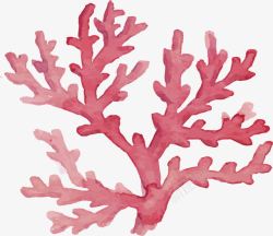 美丽手绘红色珊瑚矢量图素材
