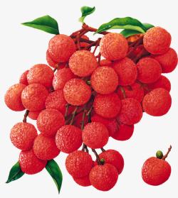 红色新鲜荔枝水果素材