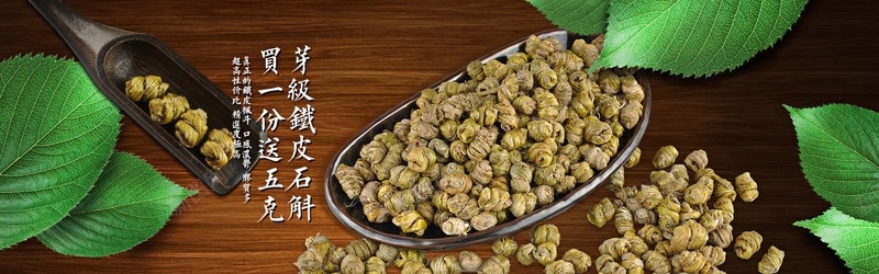铁皮石斛psd设计背景_88icon https://88icon.com 中医药 中国风 中药 叶子 名贵中药 名贵药材 展台 展板 海报banner 石斛 药材 铁皮石斛
