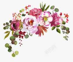 田园画花卉植物手绘粉色蔷薇花图高清图片