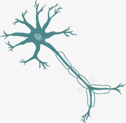 树突神经细胞矢量图高清图片
