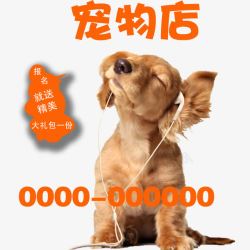 宠物护理宠物店宣传单狗狗高清图片