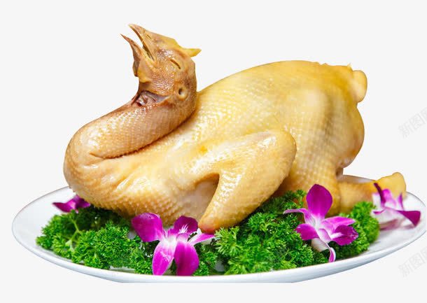清远白切鸡png免抠素材_88icon https://88icon.com 白切鸡 美味 餐饮 饮食 高档