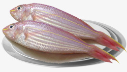 湛江海鲜特产红线鱼冰鲜鱼素材