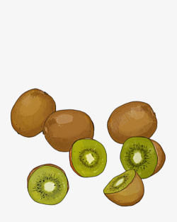 绘制绿色球泡卡通画新西兰奇异果高清图片