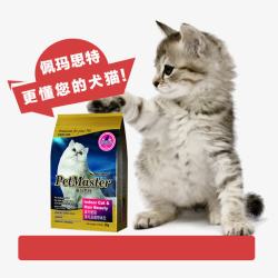 猫粮宠物店宣传单素材