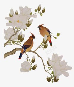 古风花叶玉兰花高清图片