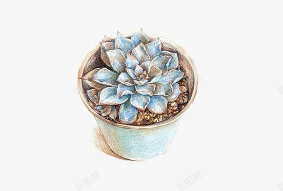 植物png免抠素材_88icon https://88icon.com 多肉 手绘 水彩画