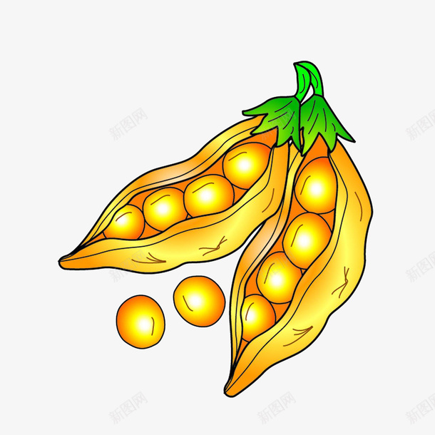 手绘黄橙橙的大豆png免抠素材_88icon https://88icon.com 健康 手绘五谷杂粮 粗粮 颗颗饱满 黄橙橙大豆
